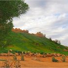 Une vue du parc Green Mubazzarah