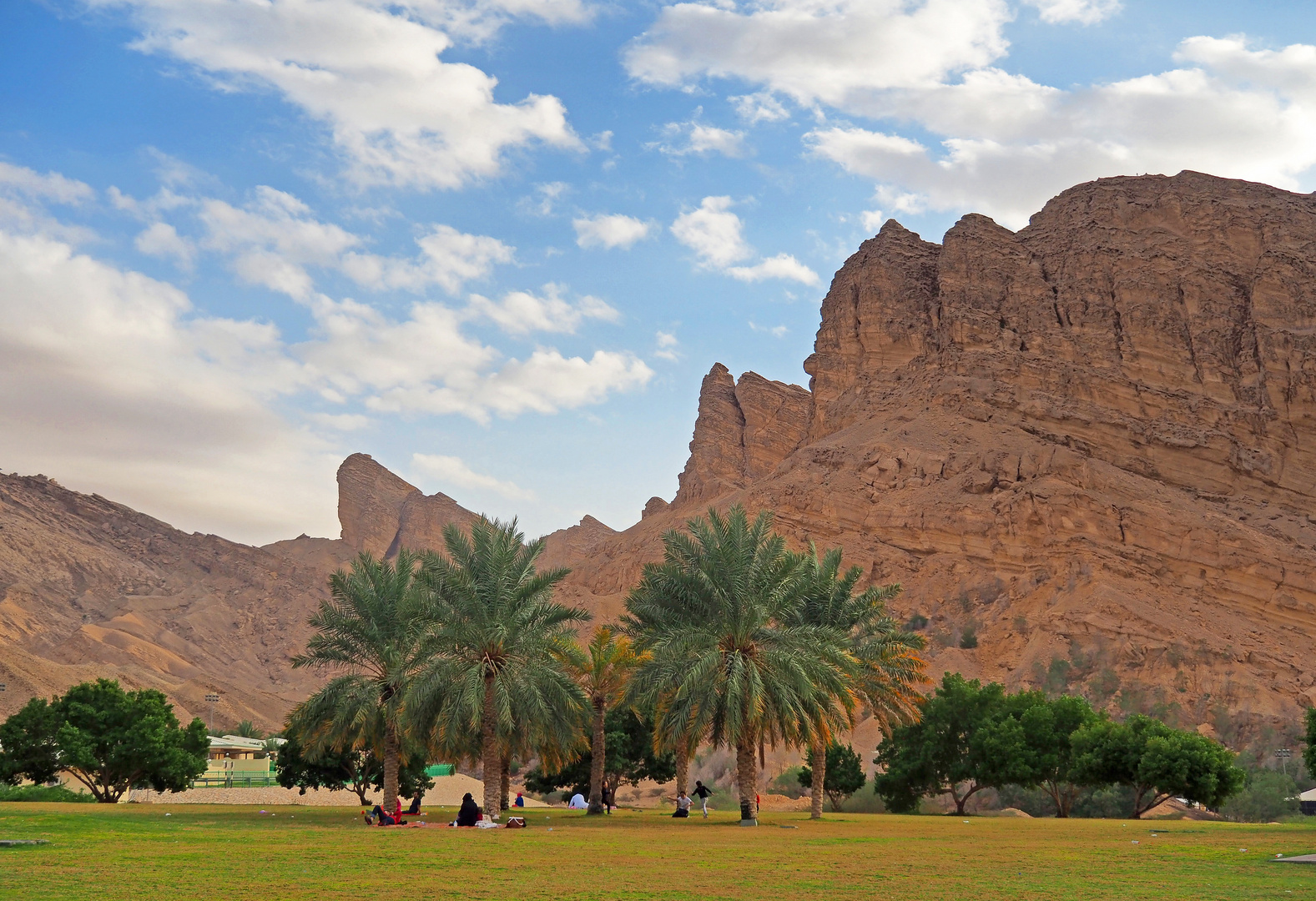 Une vue du Parc Green Mubazzarah – Abu Dhabi