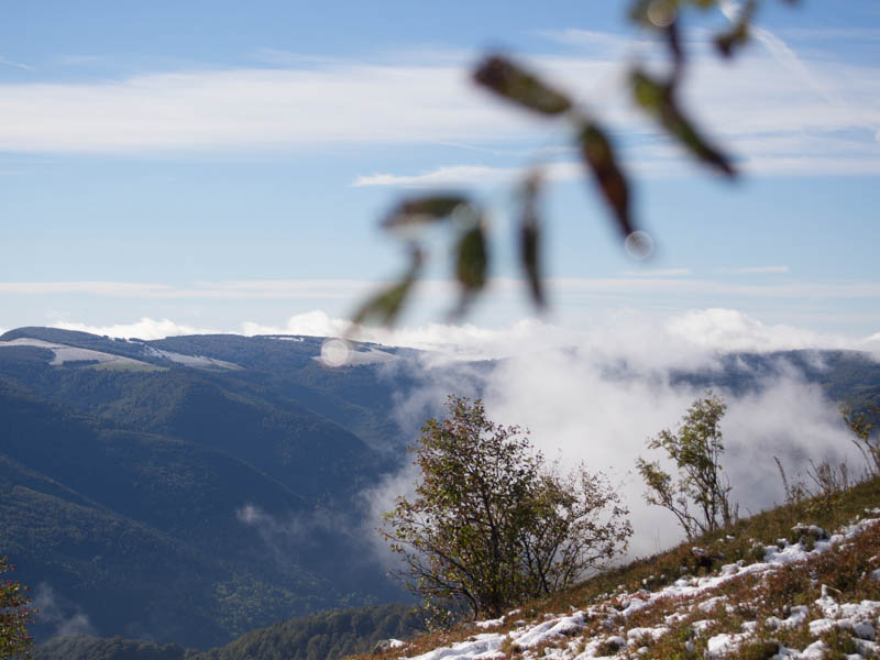 Une vue du Schnepfenried