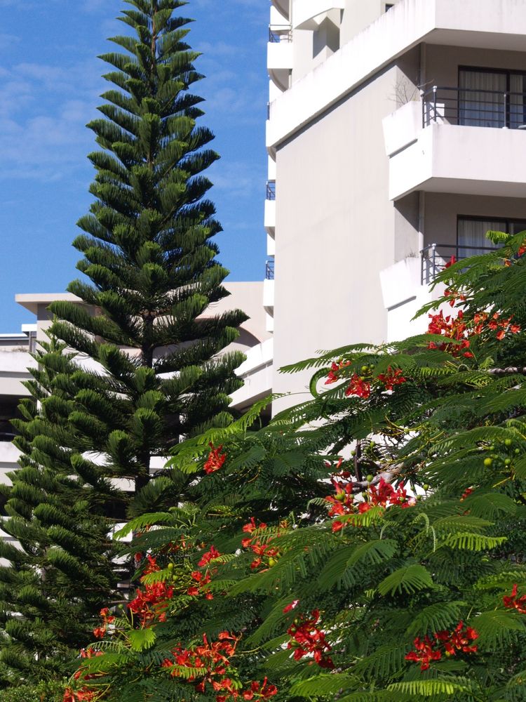 Une vue sur l’Hôtel Ramada Plaza Nouméa - Eine Sicht auf das Hotel Ramada Plaza Nouméa