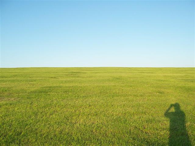 unendlich große Wiese