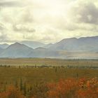unendliche Weite Alaskas