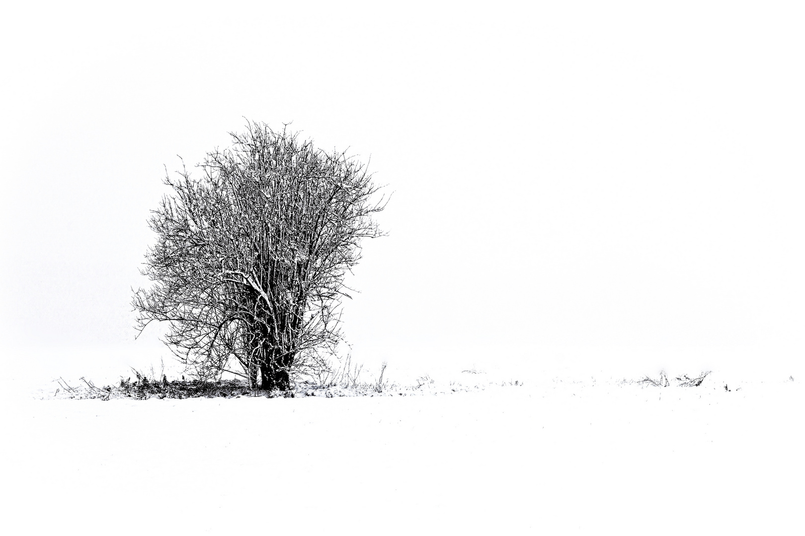 Unendliche Weite einer Winterlandschaft...