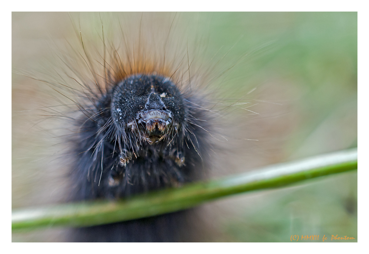 Unendlichen Hunger