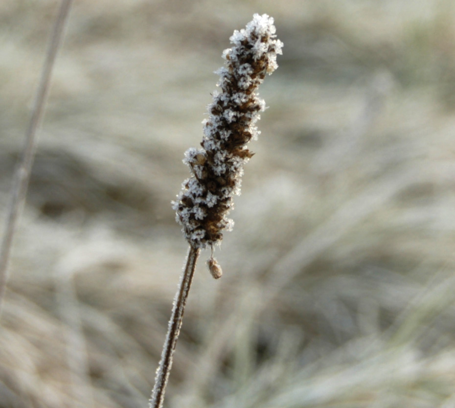 Unerbittlerlicher Winter