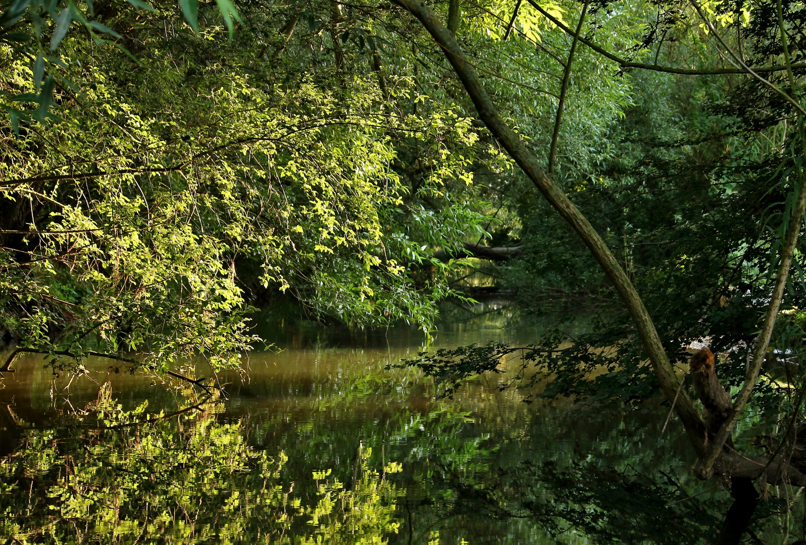 Unergründlich grün