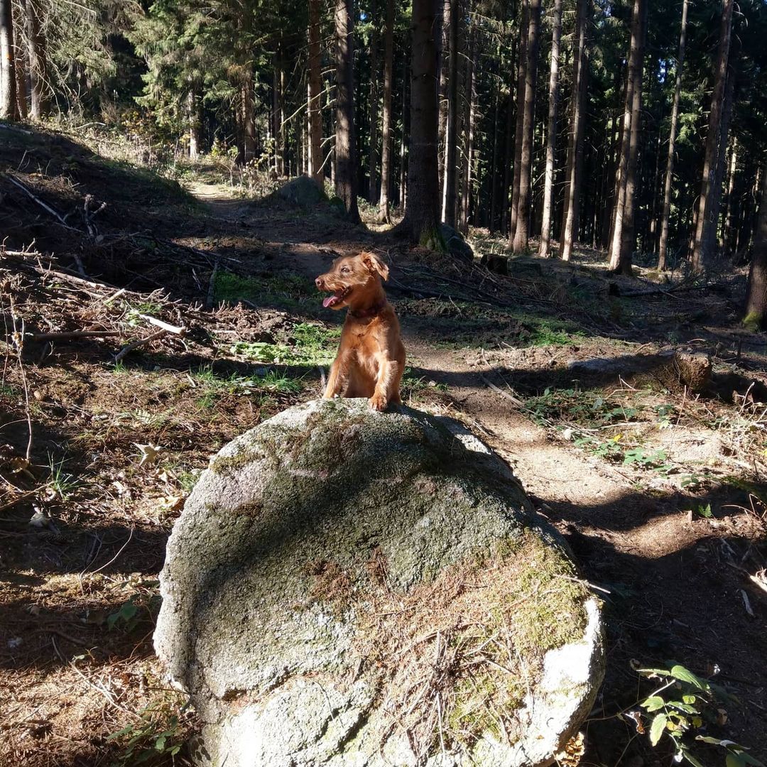 Unergründliche Wege