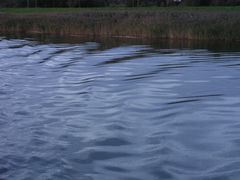 Unergründliches Wasser im Abendlicht