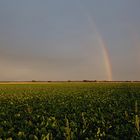 Unerwartet zeigte sich der Regenbogen :-)