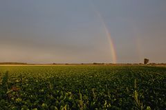 Unerwartet zeigte sich der Regenbogen :-)