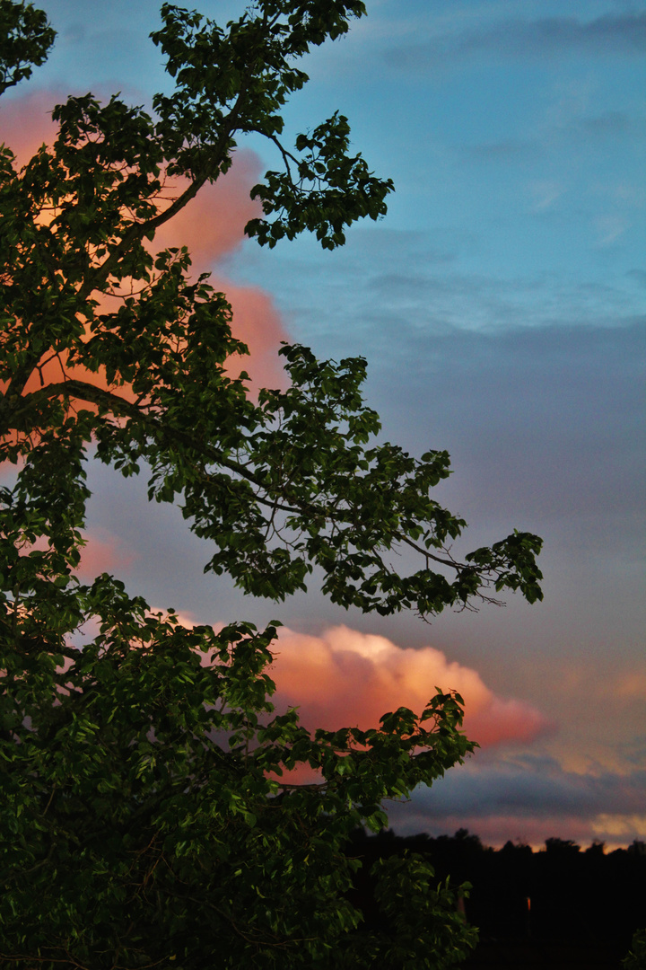 unerwartet zur blauen Stunde die Wolken Rosa