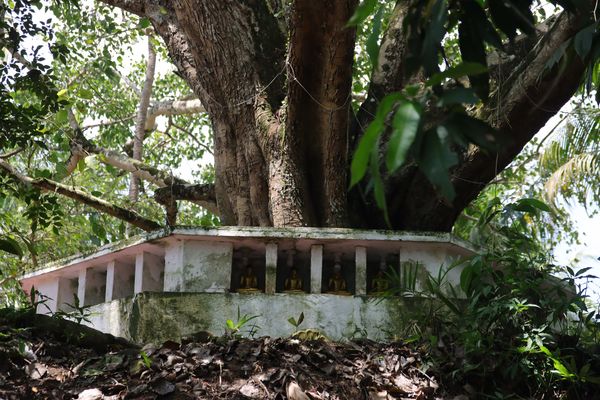 Unerwartete Entdeckung / Unexpected discovery