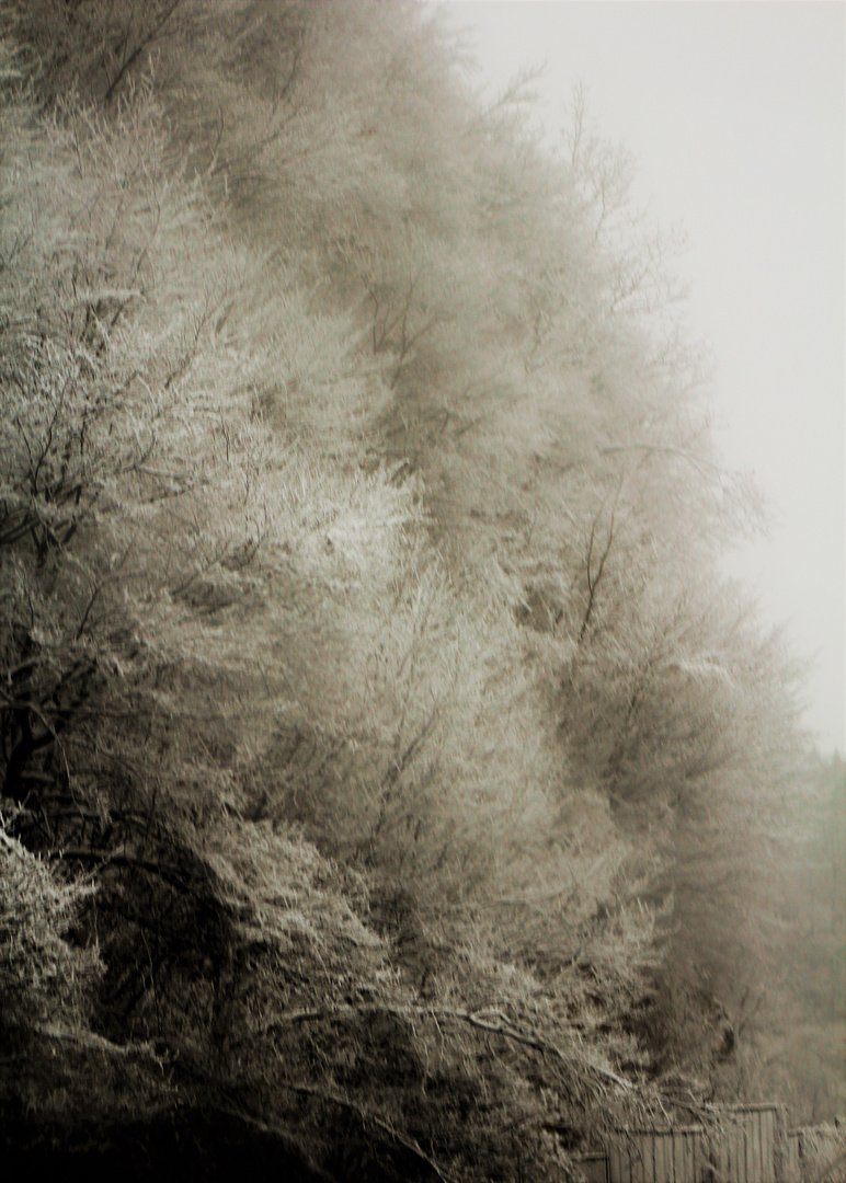 Unerwartete Schneemassen oder der Wasserfall aus Schnee Eis und Nebel