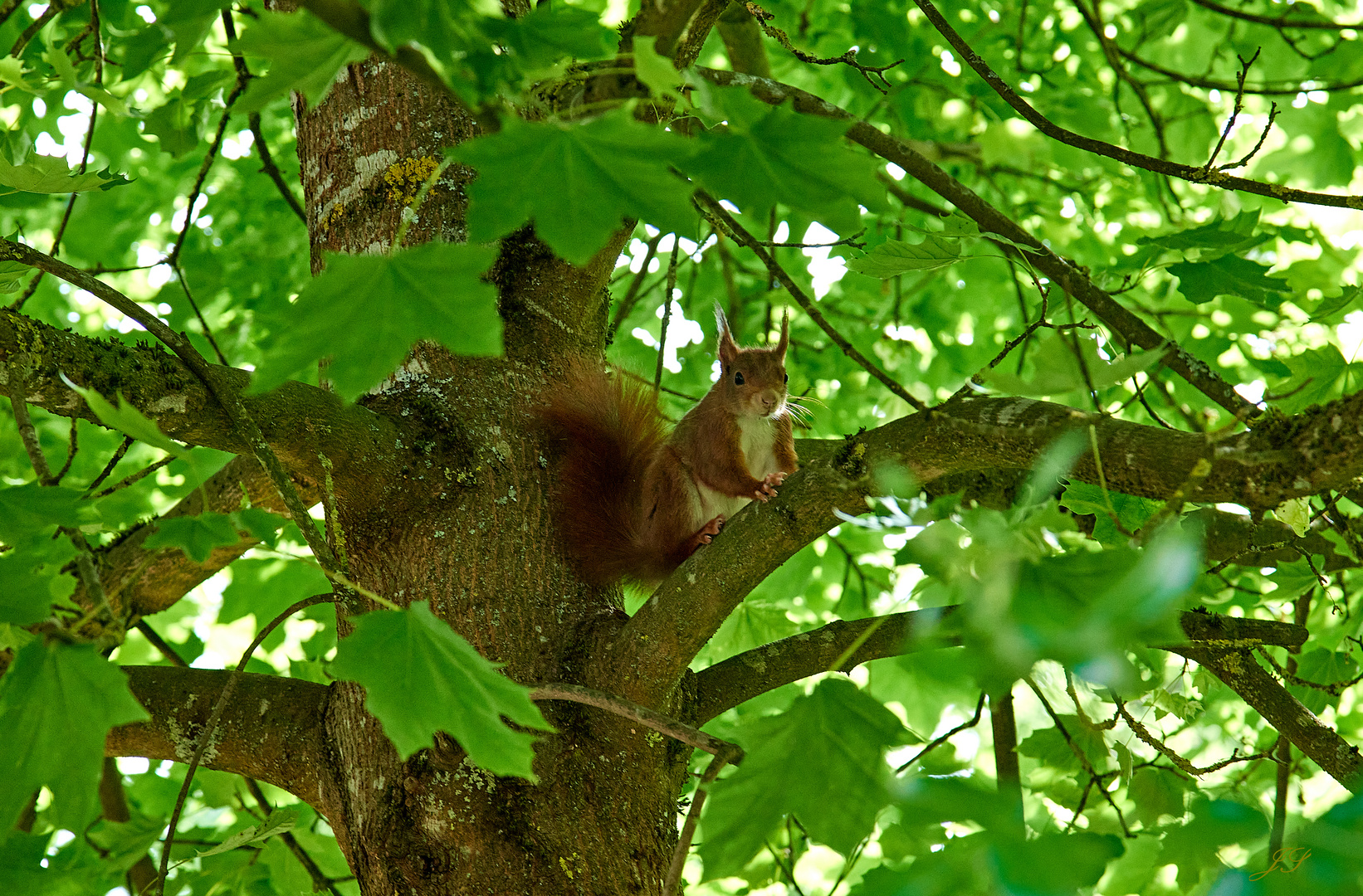 Unerwarteten Besuch bekommen.