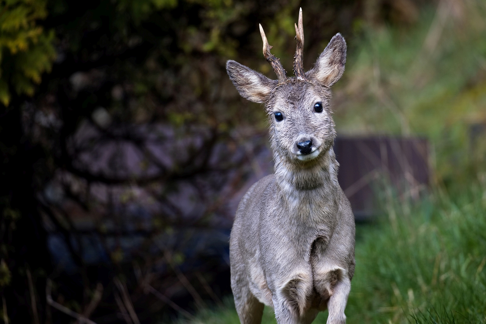 Unerwarteter Besuch (2/4)