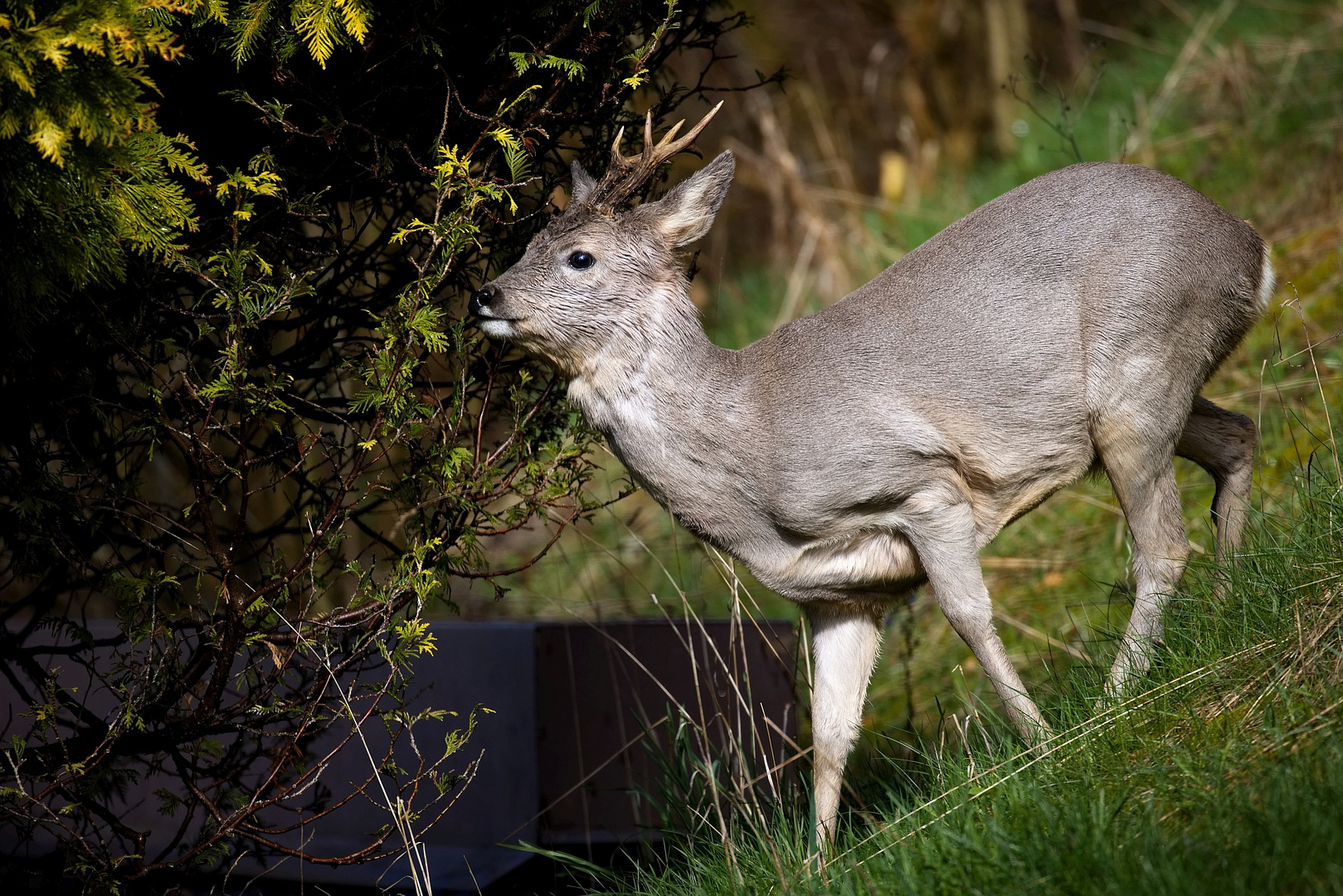 Unerwarteter Besuch (3/4)