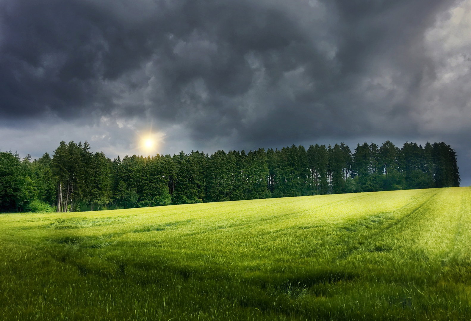 Unerwarteter Lichtblick 