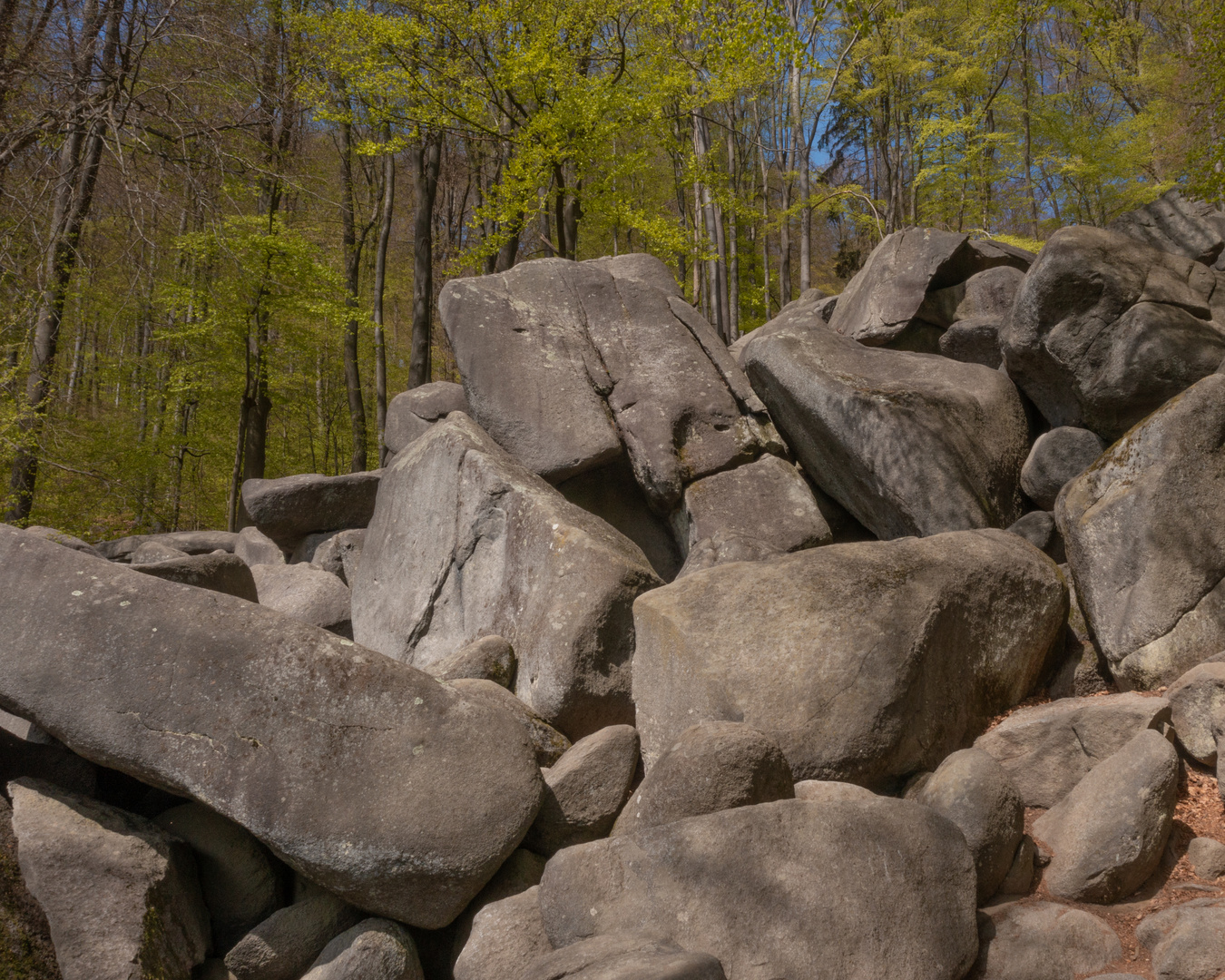 UNESCO Geopark Bergstrasse Odenwald – Felsenmeer