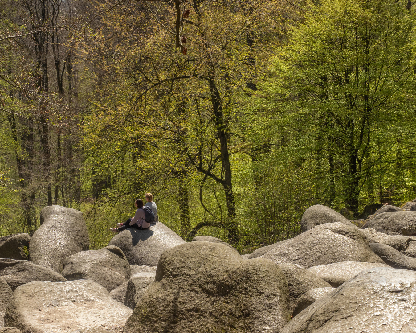 UNESCO Geopark Bergstrasse Odenwald – Felsenmeer