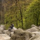 UNESCO Geopark Bergstrasse Odenwald – Felsenmeer