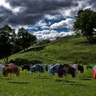 UNESCO-Welterbestätte Vogelherd