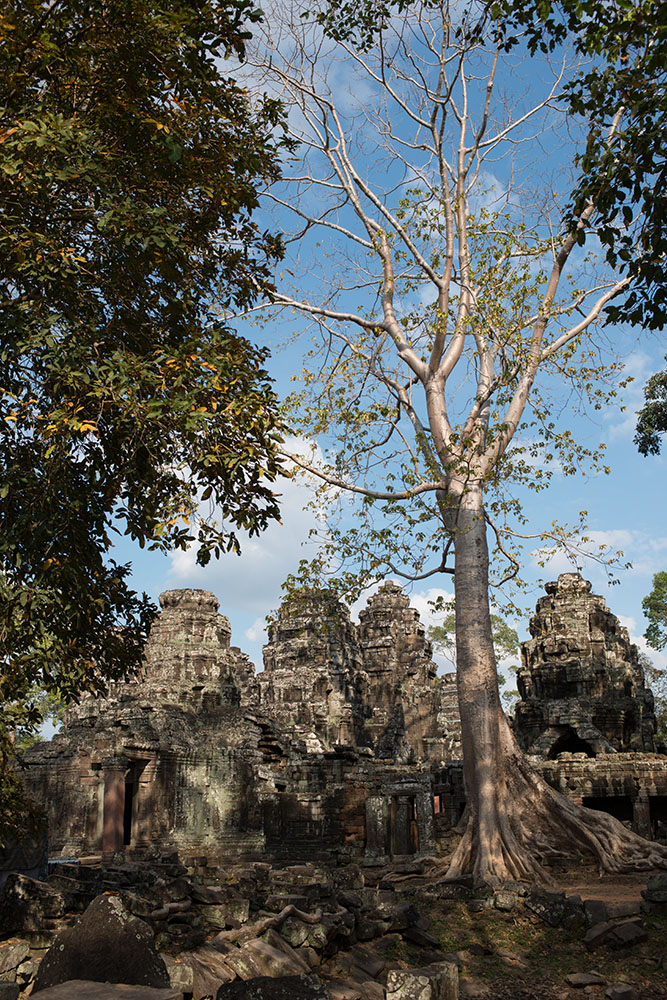 Unesco Weltkulturerbe Tempelstadt Angkor#4