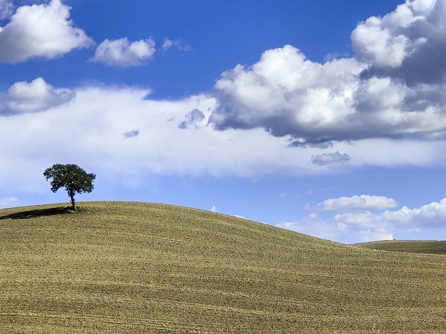 Un'estate in Val d'Orcia