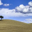 Un'estate in Val d'Orcia