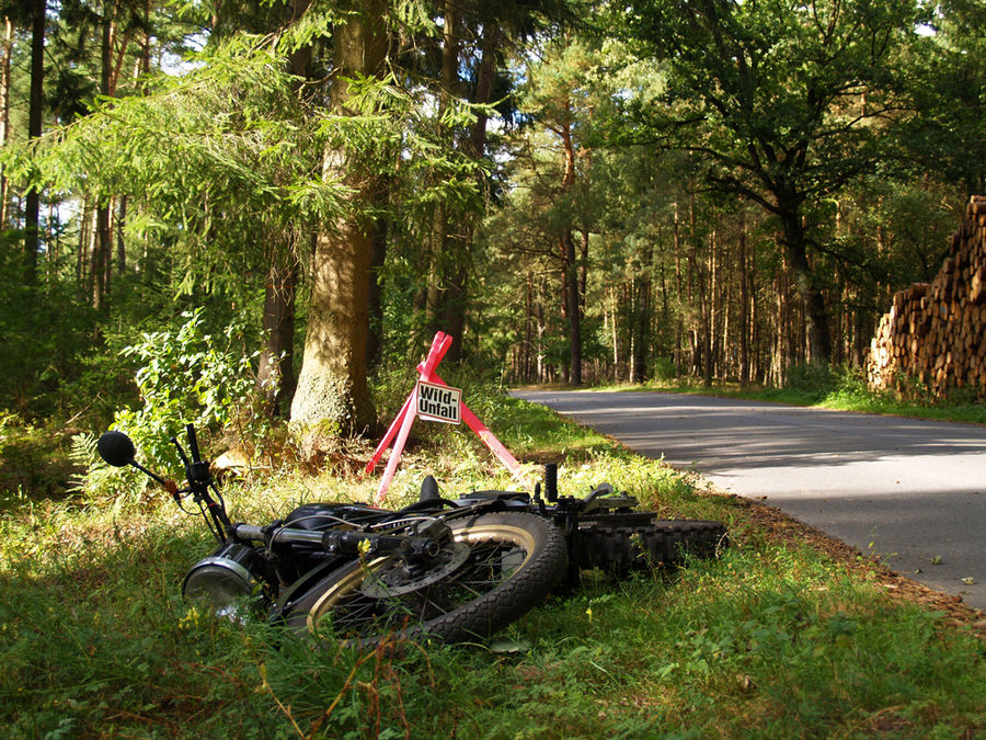 Unfall eines Wilden