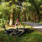 Unfall eines Wilden