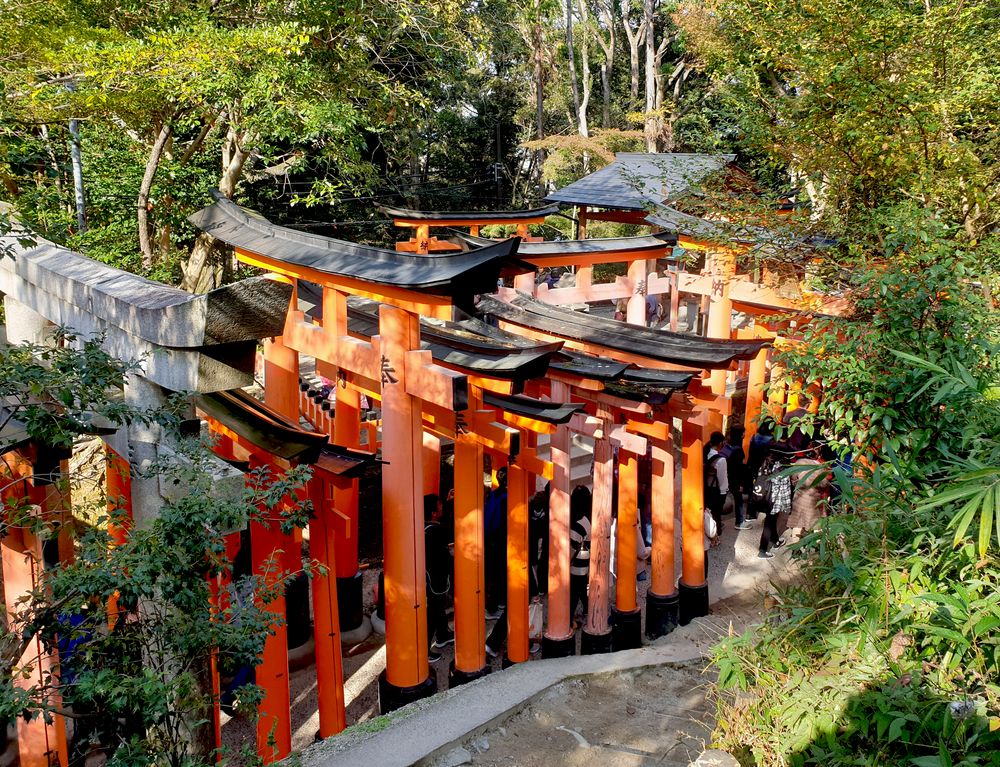 Unfassbar viele Torii