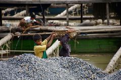 unfassbare härte, die schotterträger/innen für den strassenbau, burma 2011