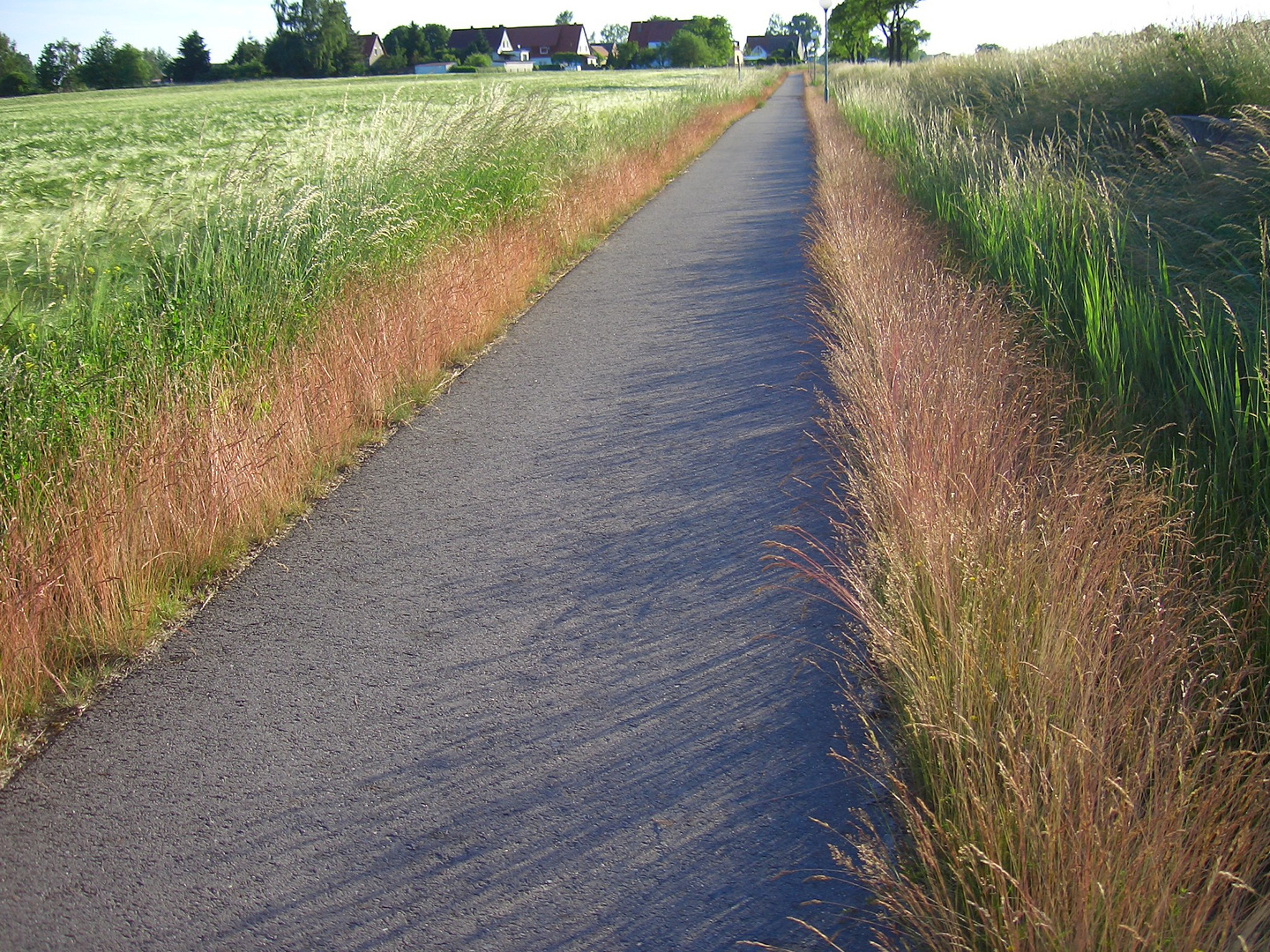 Unfehlbarer Heimweg