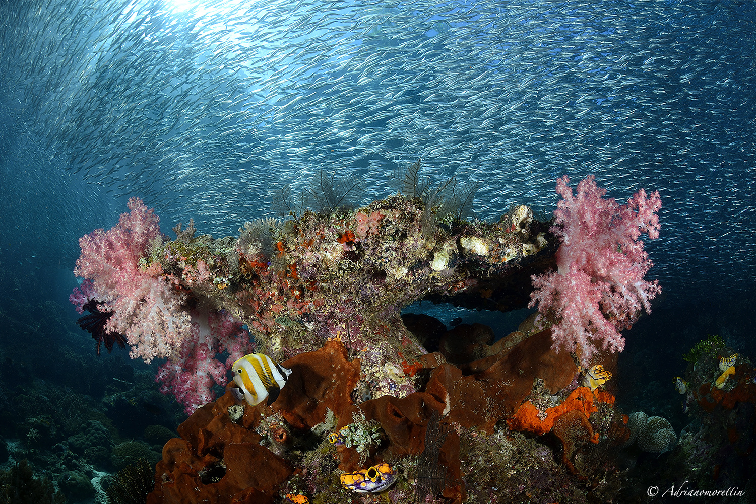 Unforgettable Raja Ampat