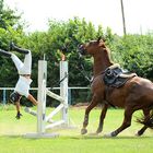 Unfreiwilliger Handstandüberschlag