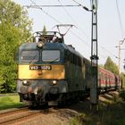 Ungarische Bahn