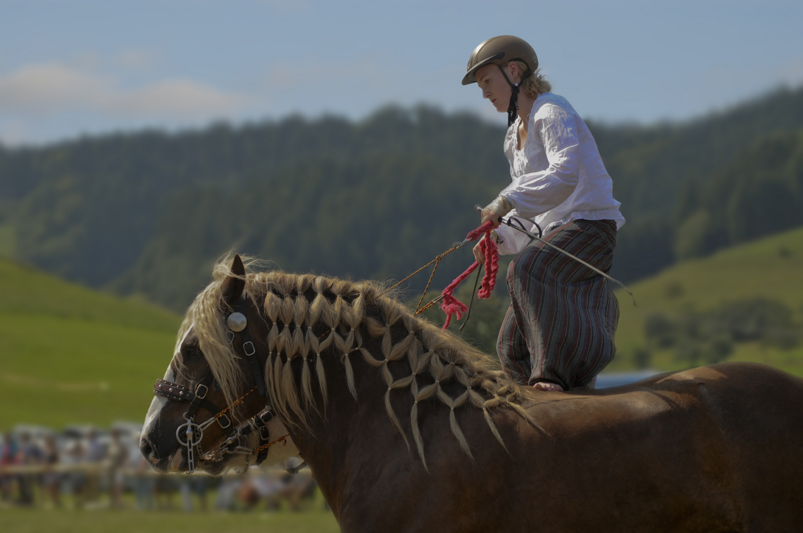 ungarische Post auf 2 Schwarzwälder Füchsen