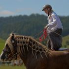 ungarische Post auf 2 Schwarzwälder Füchsen