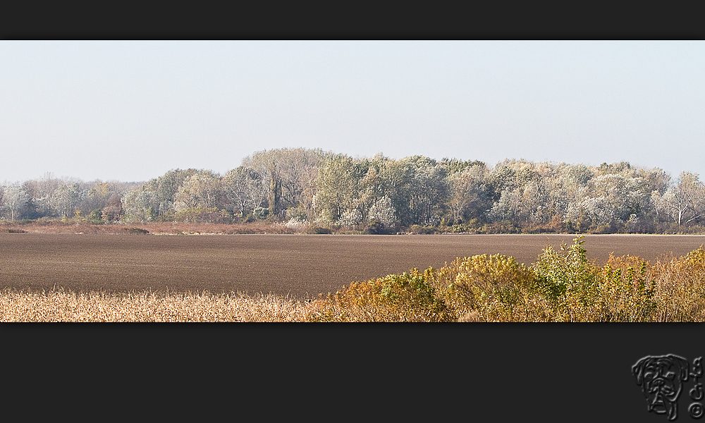 ungarischer herbst