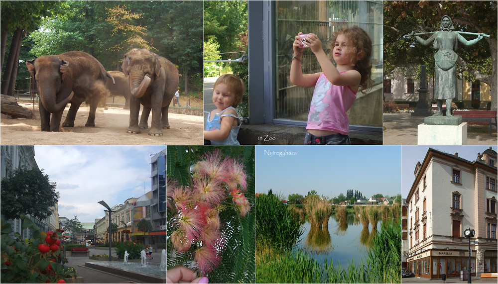 Ungarn in Nyíregyháza Stadt Foto & Bild juni, europe, ungarn Bilder