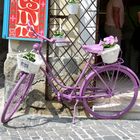 Ungarn - *Pinkbike in Szentendre an der Donau*