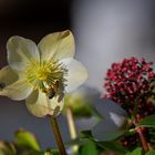 Ungebremst in den Frühling