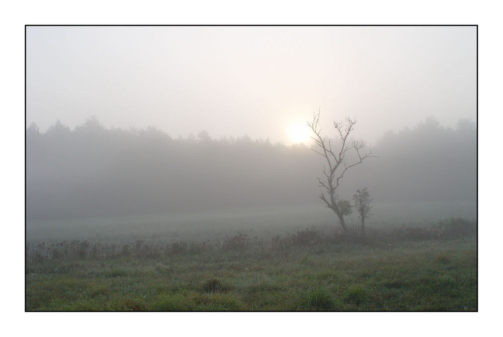 ungedämpfte Stille