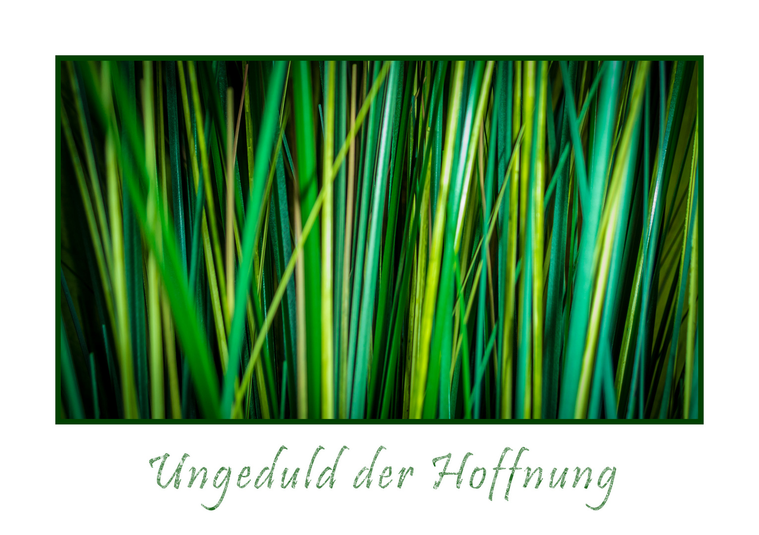 Ungeduld der Hoffnung