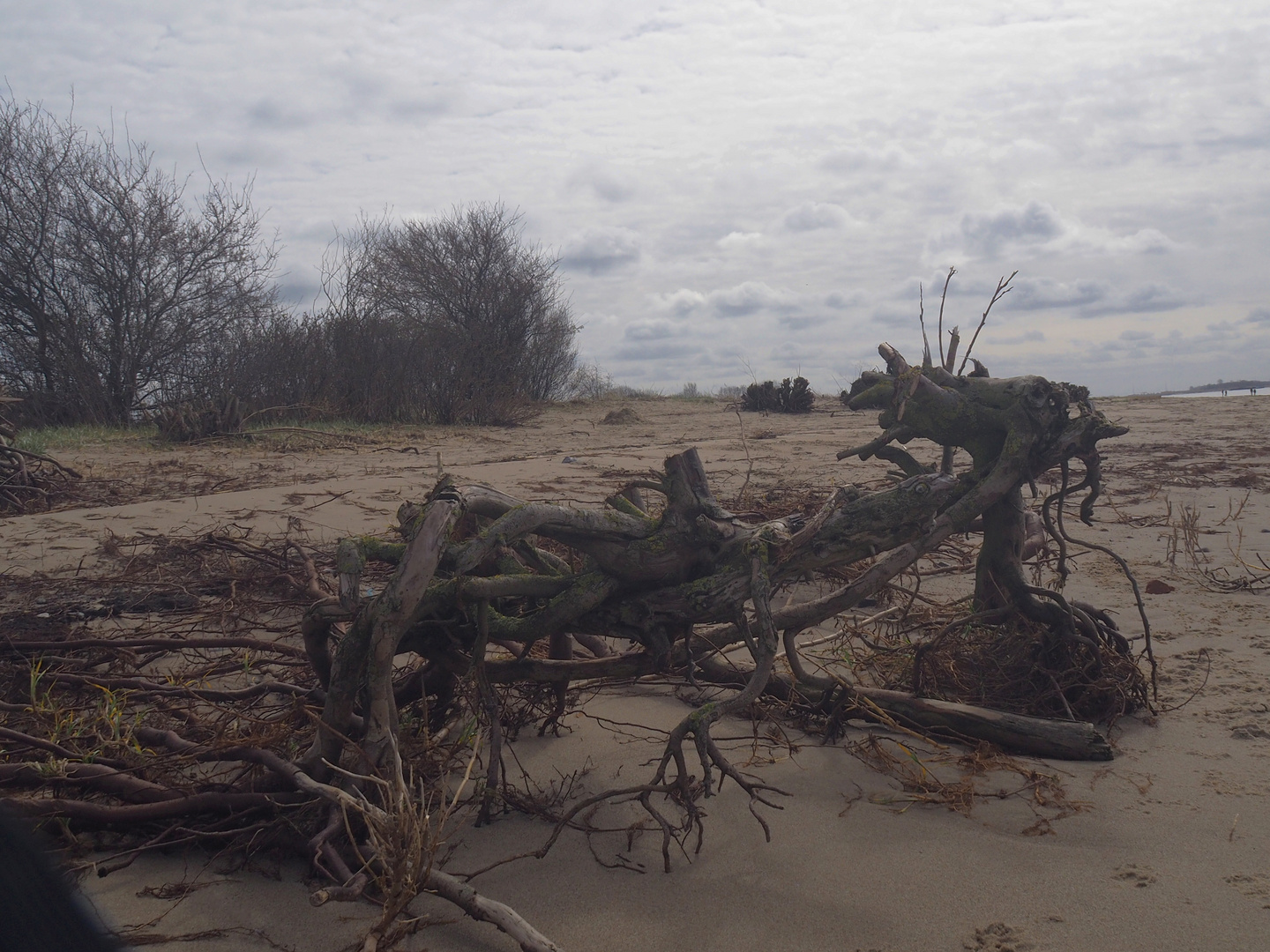 Ungeheuer am Strand