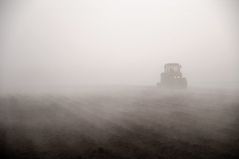 Ungeheuer im Nebel