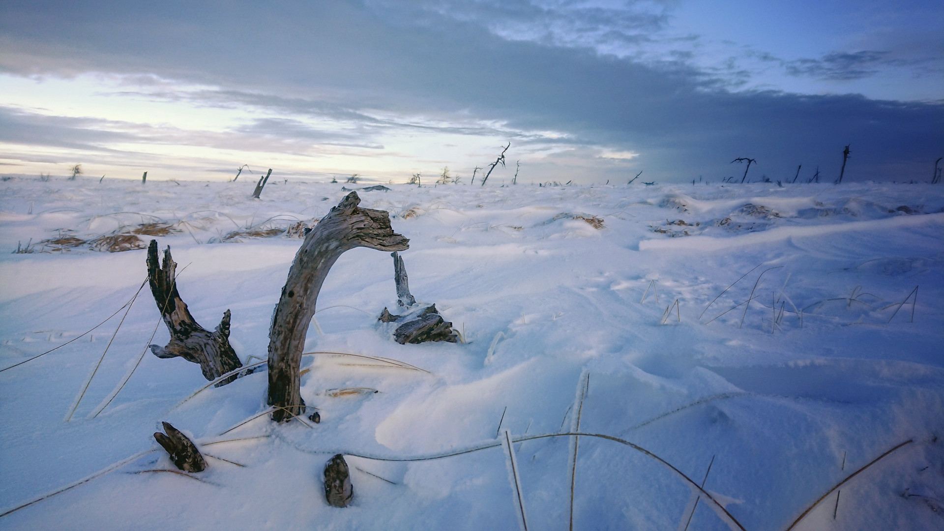 Ungeheuer im Schnee 