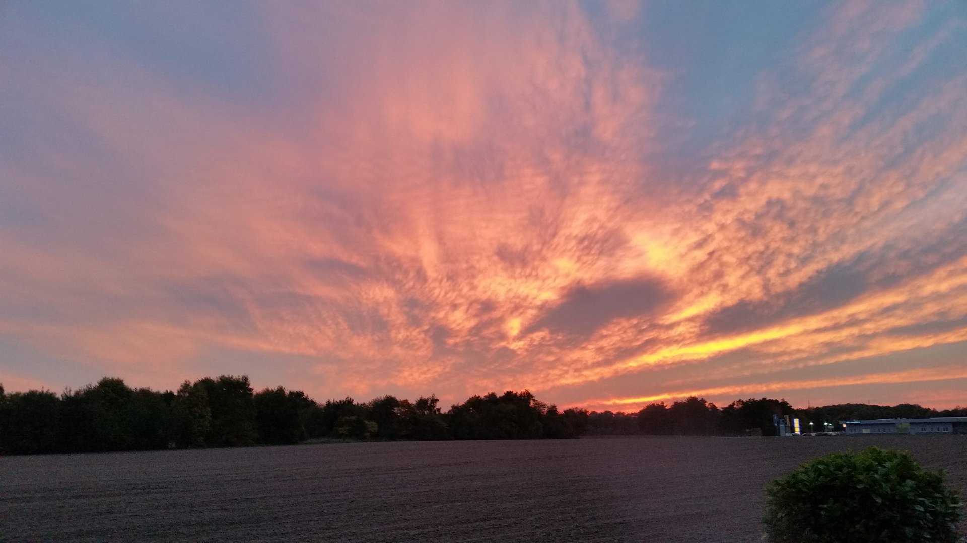 Ungeheuer-Lich(t) beim Abendspaziergang