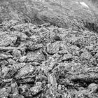 Ungepflegte Felsen am Passo di Gavia.  .DSC_8936