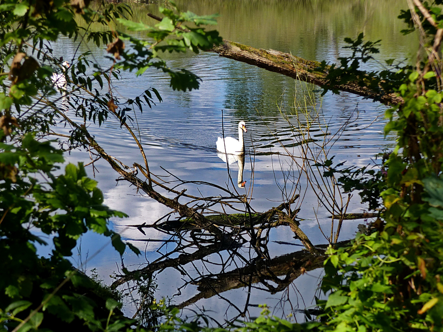 Ungestörte Natur 